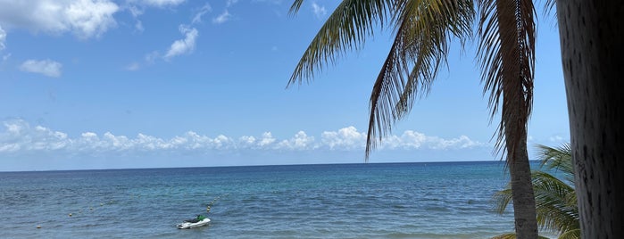 Melia Cozumel All Inclusive Golf & Beach Resort is one of NURSECON AT SEA 🚢 2024 MEXICO 🇲🇽 BAHAMAS 🇧🇸.