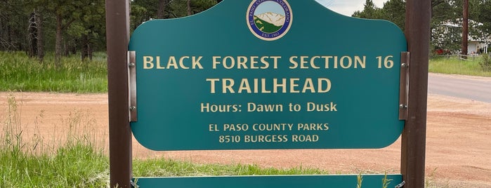 Black Forest Section 16 Trail is one of Colorado Springs.