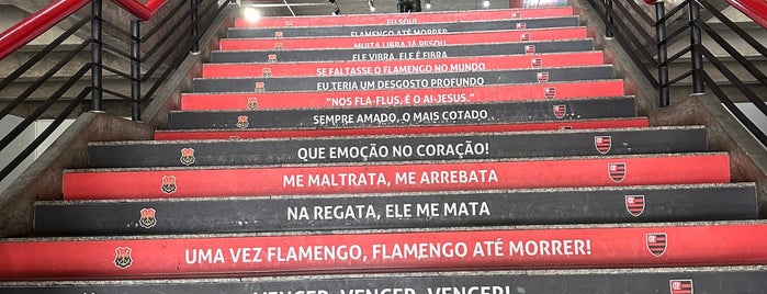 Adidas FLA is one of Flamengo.