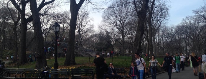 Central Park is one of Ronaldo 님이 좋아한 장소.