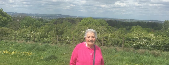 Waseley Hills Country Park is one of Lugares favoritos de Elliott.