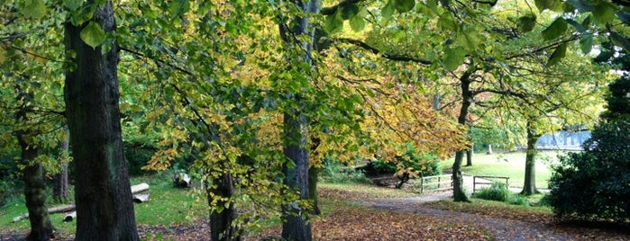 Cotteridge Park is one of Posti che sono piaciuti a Elliott.