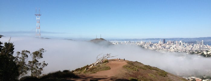 Mount Davidson Park is one of SF Adventures.
