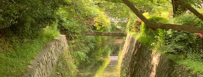 Philosopher's Path is one of Kyoto attractions.