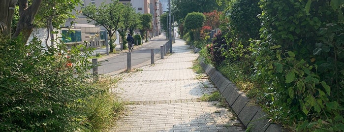 石崎川プロムナード is one of 横浜周辺.