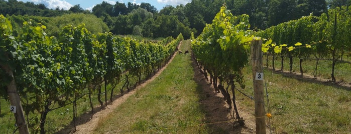 Featherstone Estate Winery is one of Winery.