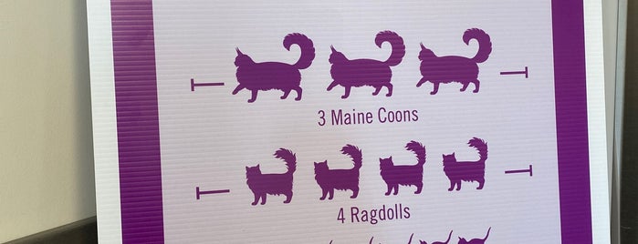 VCA City Cats Hospital is one of Mass Ave Arlington.