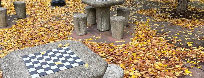 Hudson Chess Park is one of AO Chicago.