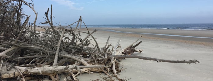 Little Talbot Island State Park is one of Places.
