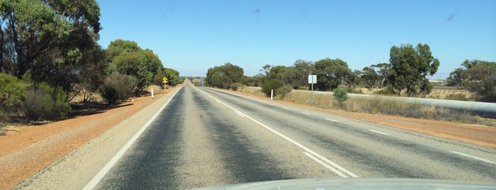 No 2 Rabbit Proof Fence is one of Orte, die Craig gefallen.