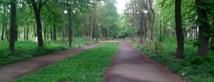 Парк біля Міського озера is one of Коломия.