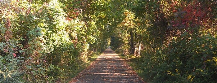 Henry Hudson Trail (Freehold Trailhead) is one of NJ.