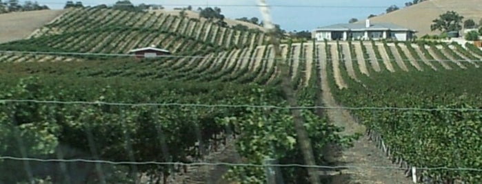 Still Waters Vineyards is one of Locais curtidos por Tyler.