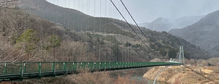 もみじ谷大吊橋 is one of JPN46-LM&HS&OD.