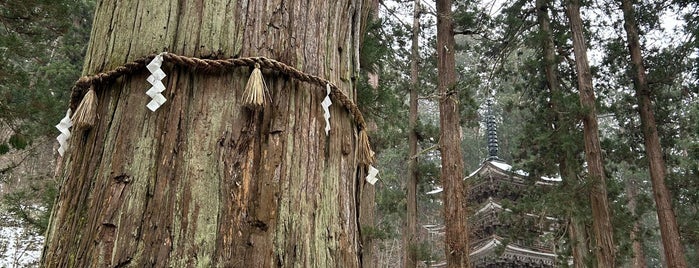 羽黒山の爺スギ is one of Shonai | 庄内.