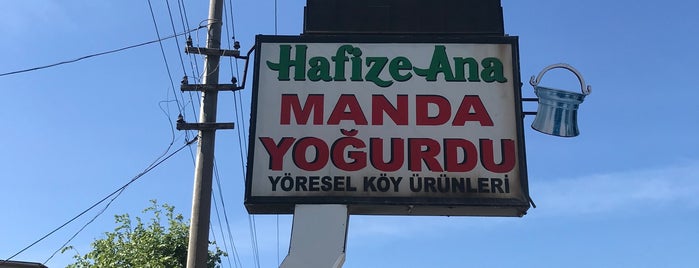 Hafize Ana Manda Yoğurdu is one of Karadeniz Bolgesi.