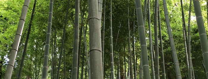 茅ヶ崎里山公園 is one of 神奈川県の公園.