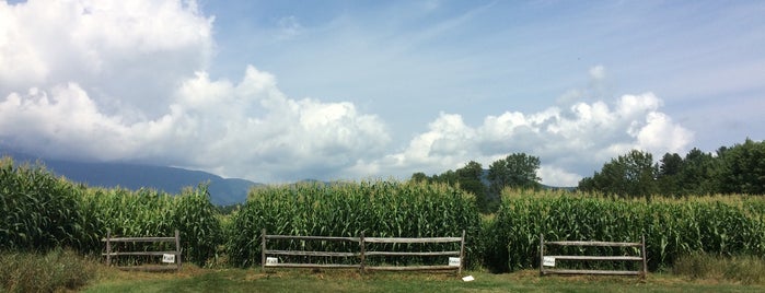 Corn Maze is one of Tempat yang Disukai Rich.