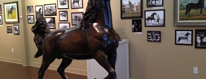 National Museum of the Morgan Horse is one of สถานที่ที่บันทึกไว้ของ Emily.