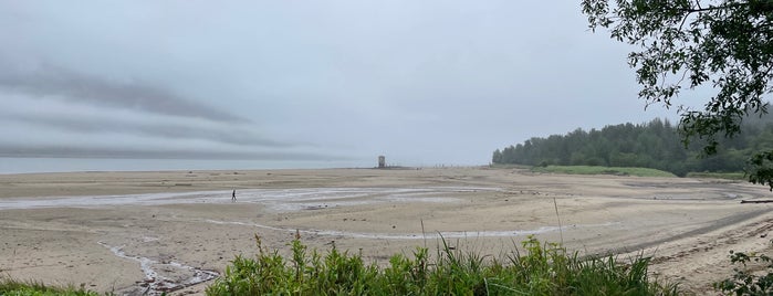 Sandy Beach is one of Lugares favoritos de Koen.