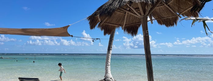 Hotel Cuarenta Cañones is one of Bacalar.