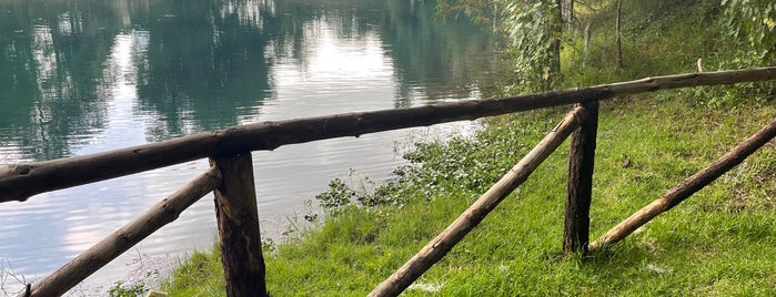 Bosque de las Truchas is one of Huasca De Ocampo.