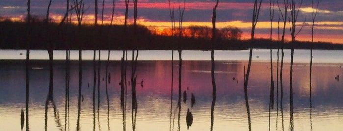 Manasquan Reservoir is one of Parks in Monmouth County.