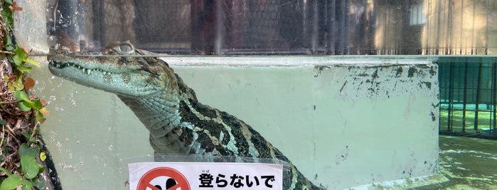 Atagawa Tropical & Alligator Garden is one of Japan - I.