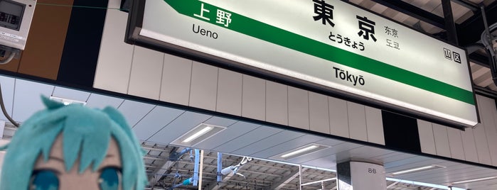 Joetsu Shinkansen Tokyo Station is one of 駅　乗ったり降りたり.