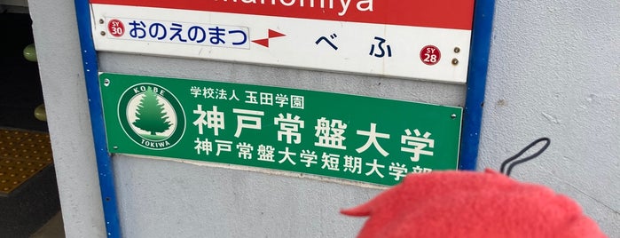 Hamanomiya Station is one of 山陽電鉄本線.