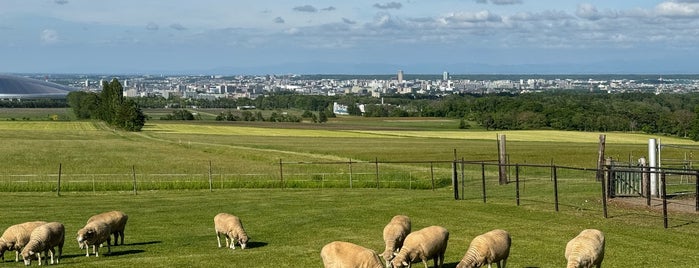 Hitsujigaoka Observation Hill is one of けいおん！聖地巡礼.