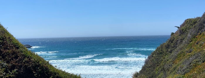Sand Dollar Beach is one of Big Sur /Monterey.