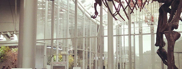 California Academy of Sciences is one of SF.