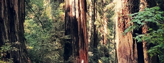 Muir Woods National Monument is one of SF.