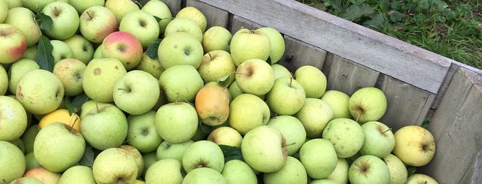 Miller Orchards is one of Home at mi Casa Bonita- Garcia/Osborne.