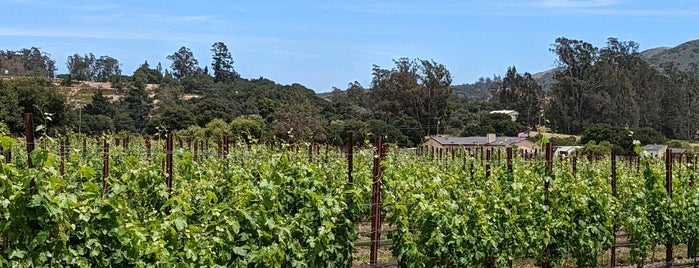 Melville Vineyards & Winery is one of Santa Barbara.