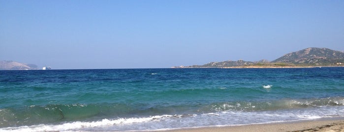 The Saline Beach is one of Sardinien.