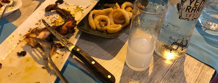 Defne Yaprağı Balık Restaurant Dalyanköy Çeşme is one of Ozgur'un Kaydettiği Mekanlar.