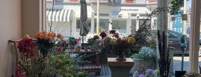 Le Bouquet Flower Shop is one of Cow Hollow.