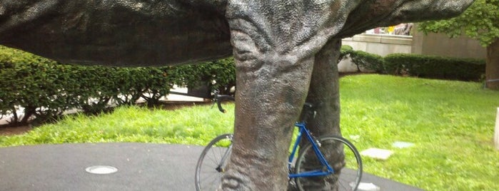 Dippy the Dinosaur (Diplodocus carnegii) is one of Cycling in PGH.