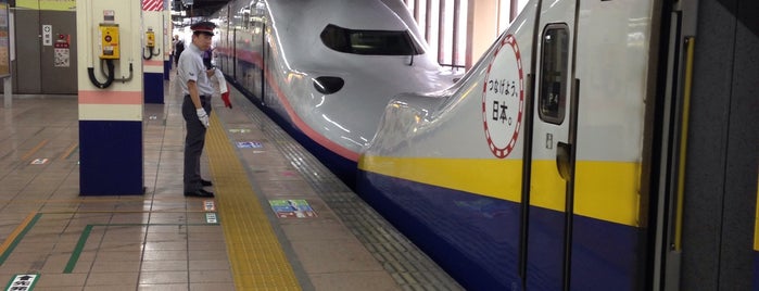 JR Platforms 17-18 is one of 新幹線.