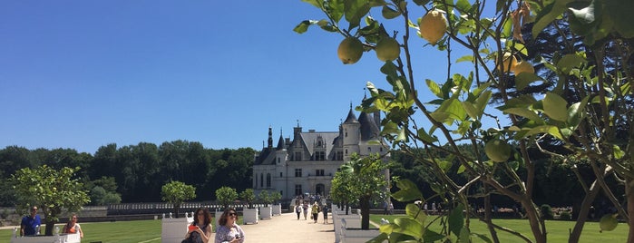 Château de Chenonceau is one of สถานที่ที่บันทึกไว้ของ 💞Дарья💞💍.