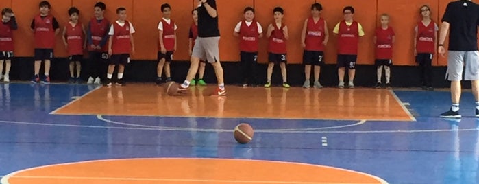 Tofas Basketbol Okulu Cankaya is one of Ankara.