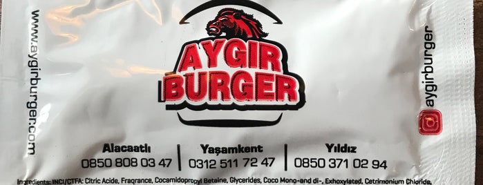 Aygır Burger Yıldız Şubesi is one of Locais curtidos por K G.