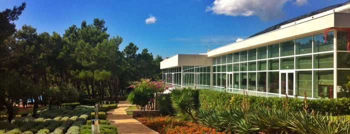 Bluesun Hotel Elaphusa is one of Lugares favoritos de Saffet.