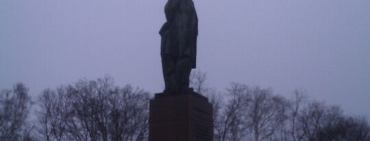 Пам'ятник Тарасу Шевченку / Monument to Taras Shevchenko is one of Памятники Киева / Statues of Kiev.