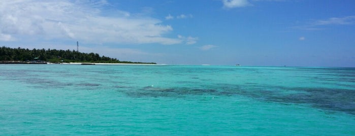 Fenfushi is one of สถานที่ที่ Oksana ถูกใจ.