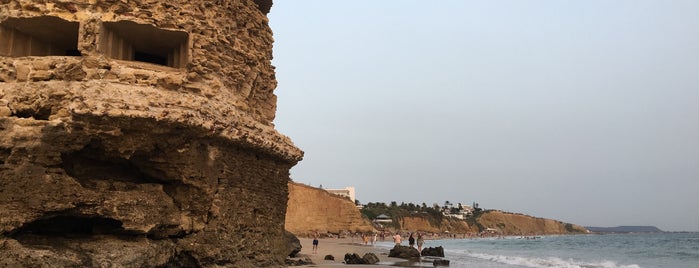 Playa Fuente del Gallo is one of Todos los idos.