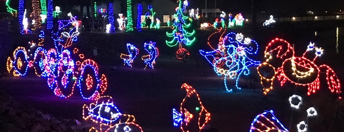 Moody  Gardens Festival of Lights is one of Texas Galveston.