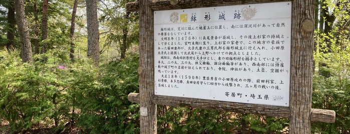 鉢形城跡 is one of まだ行っていない日本の城.